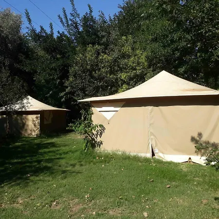 Camping Paradis Bellerive Montfrin Exterior photo