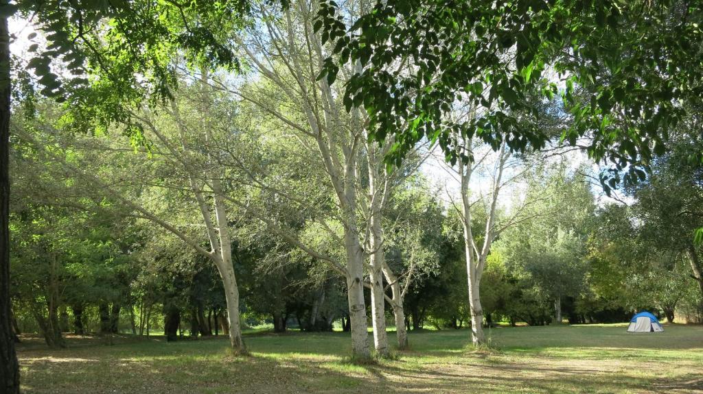 Camping Paradis Bellerive Montfrin